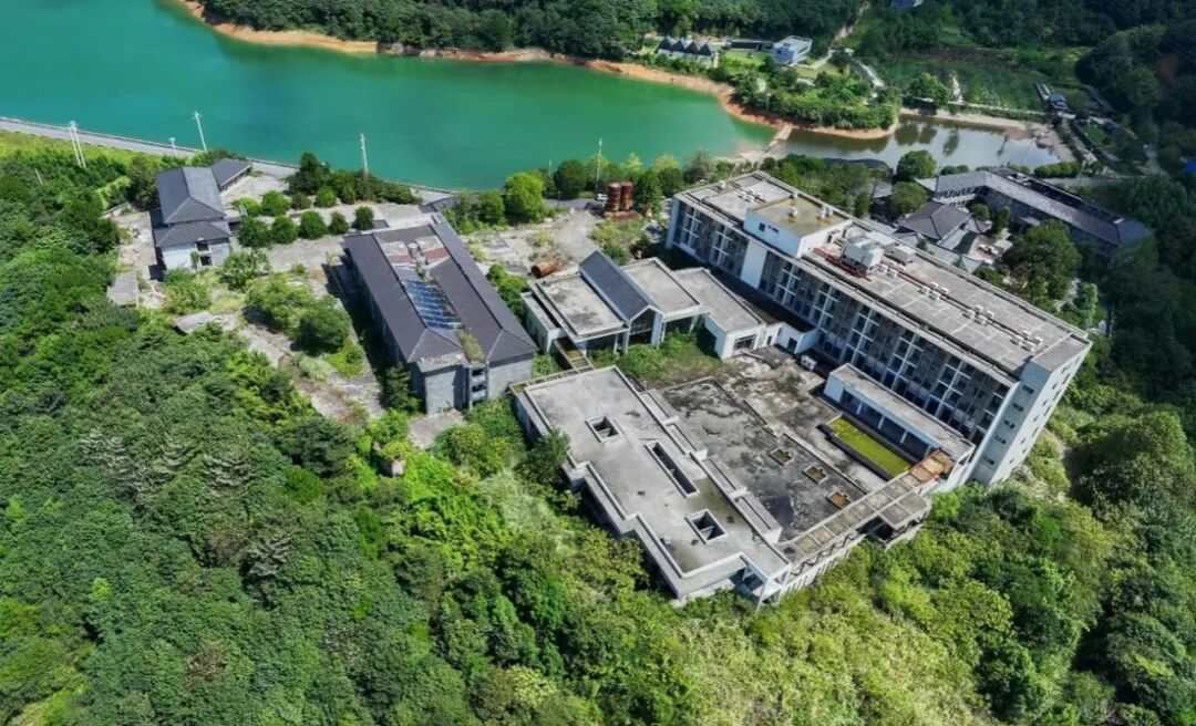 1759973831239061792.jpg 2.jpg