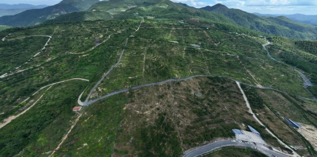 1759975013062060283.jpg 5.jpg