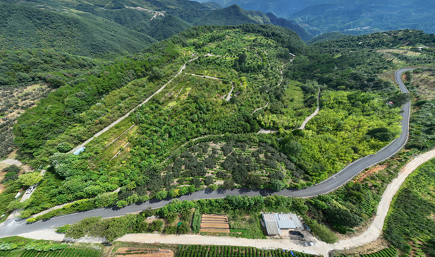 1759975052654018490.png 6.png